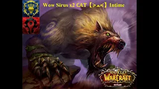 Ферал(кот) PvP Wow Sirus x2, ℂ𝔸𝕋【≽ܫ≼】Intime. Мои кото будни в таблице рейтингов на Арене (PvP 1x1).