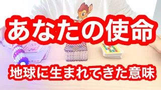 あなたの使命❗️地球に生まれてきた意味❗️タロット占いリーディング❗️キャメレオン竹田