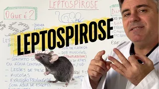 Tudo sobre LEPTOSPIROSE