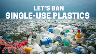 Should the US ban single-use plastics? A science-based lecture.