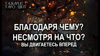 БЛАГОДАРЯ ЧЕМУ? НЕ СМОТРЯ НА ЧТО? ВЫ ДВИГАЕТЕСЬ ВПЕРЕД🌔🔥💯 ГАДАНИЕ РАСКЛАД ТАРО