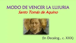 Como vencer la Lujuria según Santo Tomás de Aquino  #castidad #lujuria #pureza