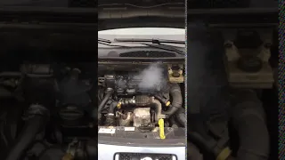 Белый дым от форсунок двигатель DV6DTED
