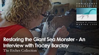 Restoring the Giant Sea Monster - An Interview with Tracey Barclay