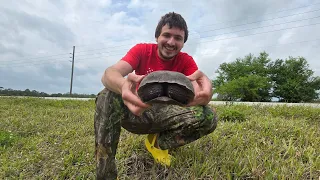 Visiting Everglades National Park