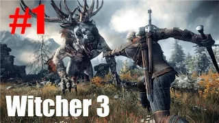 The Witcher 3 Walkthrough Gameplay Part 1 - Intro - Story Mission 1 (The Witcher 3 Play First time)