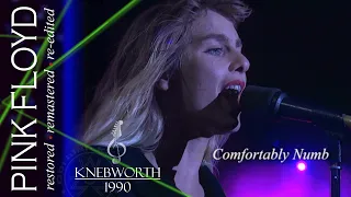 Pink Floyd - Comfortably Numb | Knebworth Festival 1990 - Re-Issued 2019 | Subs SPA-ENG