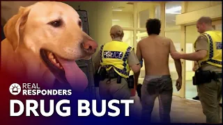 Airport Sniffer Dog Busts Drugs Hidden In Unusual Places | Territory Cops | Real Responders