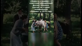 Мастер класс по доению коровы! К/Ф Невеста с севера