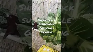 UNSTOPPABLE hydroponic  gardening solution!