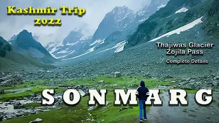 Sonmarg Kashmir | Jannat ka Safar | Sonmarg in June | Zojila Pass | Sonmarg Kashmir Vlog