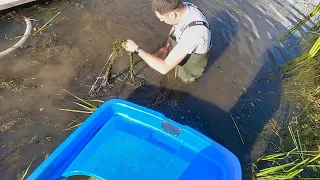 5. An attempt to clean the shore with a mud pump