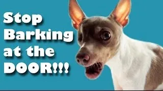 STOP barking at the door!