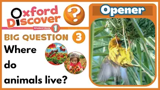 Oxford Discover 1 | Big Question 3 | Where do animals live? | Opener