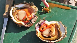 CATCH and COOK! Diving for a Smörgåsbord of Sea-life! *SCALLOPS, SNAILS, FISH, CRAB, URCHIN*