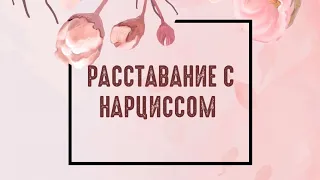 Расставание с Нарциссом