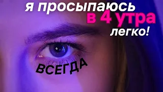 Как Я Просыпаюсь В 4 Утра Ежедневно