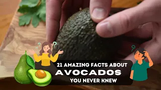 21 Amazing Facts About Avocados You Never Knew