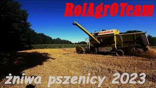 Żniwa ze Spytkowską Mafią! Wspomnienia ze żniw 🔥 Claas Dominator96/Ursus 1614 Go Pro Hero [OPIS]