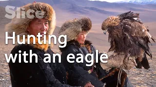 Mongolia: The relationship between Kazakhs and eagles | SLICE