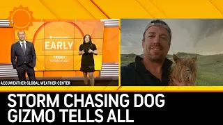Interview: Gizmo, the Storm Chasing Dog & Dr. Reed Timmer | AccuWeather