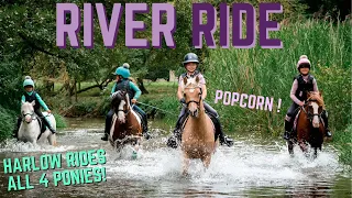 RIVER RIDE PONY HACK! 4 cheeky ponies and LOTS OF BUCKS!