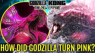 The Pink Godzilla Explored  - The Real Truth Behind Godzilla's Pink Form Explored In Detail!