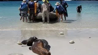 Galapagos Islands cruise, Ecuador aboard MV Explorer II