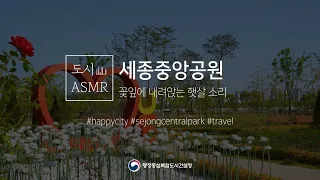 [도시, ASMR] 세종중앙공원, 꽃잎에 내려앉는 햇살 소리🌺