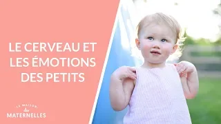 Le cerveau et les émotions des petits - La Maison des maternelles #LMDM