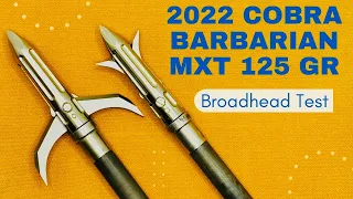 COBRA BARBARIAN MXT 125 gr (2022 Model) Broadhead Test
