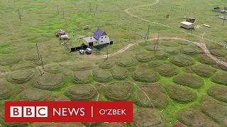 Сибирнинг ғалати дўнгликлари нима? Янгиликлар - BBC News O'zbek