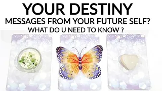 YOUR DESTINY 🎯 MESSAGES FROM YOUR FUTURE SELF 🎇 WHERE YOU'LL BE IN A YEAR 🌞