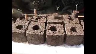 Homemade Soil Blocker Maker (free - DIY)