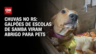 Chuvas no RS: galpões de escolas de samba viram abrigo para pets | CNN NOVO DIA