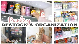 PANTRY & KITCHEN ORGANIZATION - Simple & Affordable || THE SUNDAY STYLIST