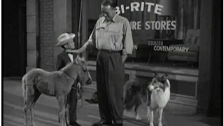 Lassie - Episode #274 - "The Partnership" - Season 8 Ep.19  - 01/21/1962