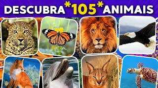 adivinhe o animal em 3 segundos - 105 animais para você tentar adivinhar - (quiz)