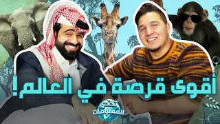 تحدي المعلومات - عجائب عالم الحيوان🦁