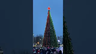 Елка 2024 🎄