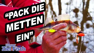 SO habt Ihr NOCH NIE BARSCHE GEFANGEN - Unser Ziel ist Fisch mit Jörg Ovens - Folge 34