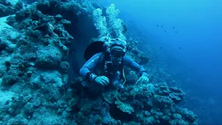 Дайв-сафари Октябрь 2021 / Каньон Дахаб (Canyon Dahab) / Дайвинг / Diving / Египет