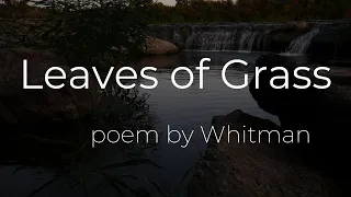 Leaves of Grass (Continuities) || Poem by Walt Whitman