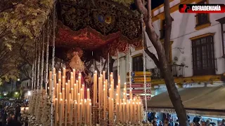 La Venia: El palio del Mayor Dolor. @cofrademania-jerez