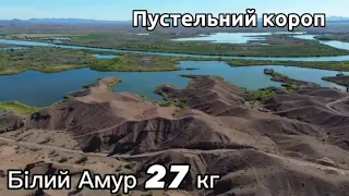 Пустельний Короп, Білий Амур 27 кг.   ДО КІНЦЯ!!!