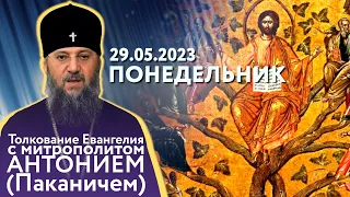 Толкование Евангелия с митрополитом Антонием (Паканичем). Понедельник, 29 мая 2023 года.