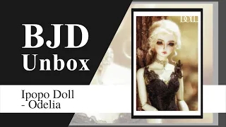 BJD UNBOXING!! Ipopo Doll - 欧蒂莉亚/Odelia (1/3 65~68cm Normal Skin)