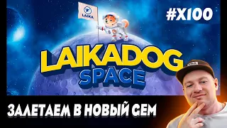 Новый GEM на радаре LaikaDog.Space. Залетаем в PUBLIC SALE  и забираем иксы🚀