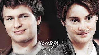 hazel & gus ● wings