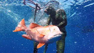 World Record Given Away! Spearfishing Areas That Have NEVER Been Dived.